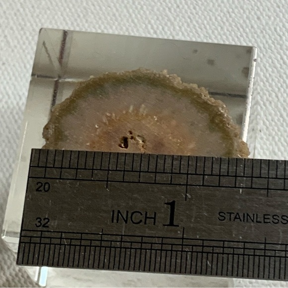 Stalactite Slice Polished Crystal Display Specimen Las Torres Mine Uruguay 1.4" - Picture 9 of 10